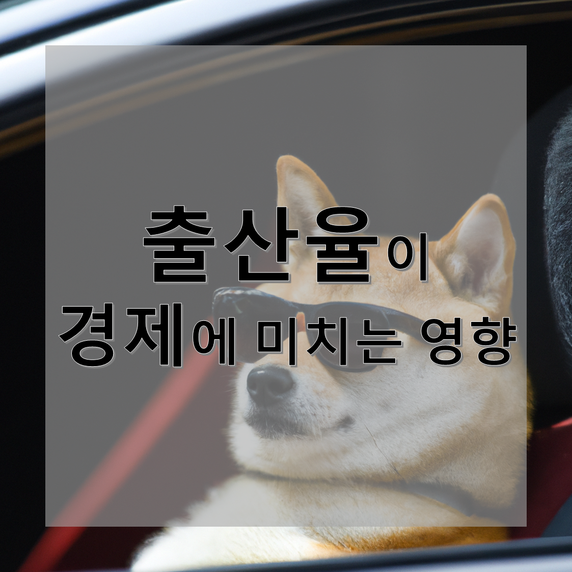 출산율이 경제에 미치는 영향