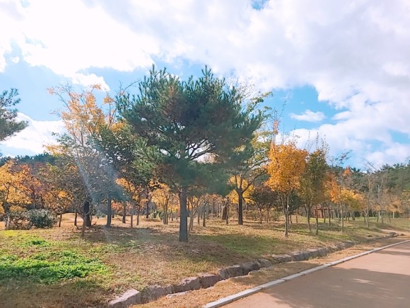 #부산 아이와가 볼만한 바다 운대수목원 9