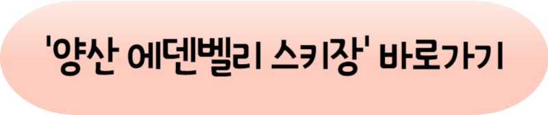 [2023년 겨울 전국 스키장 개장일] 돌아온 스키와 스노보드의 계절!