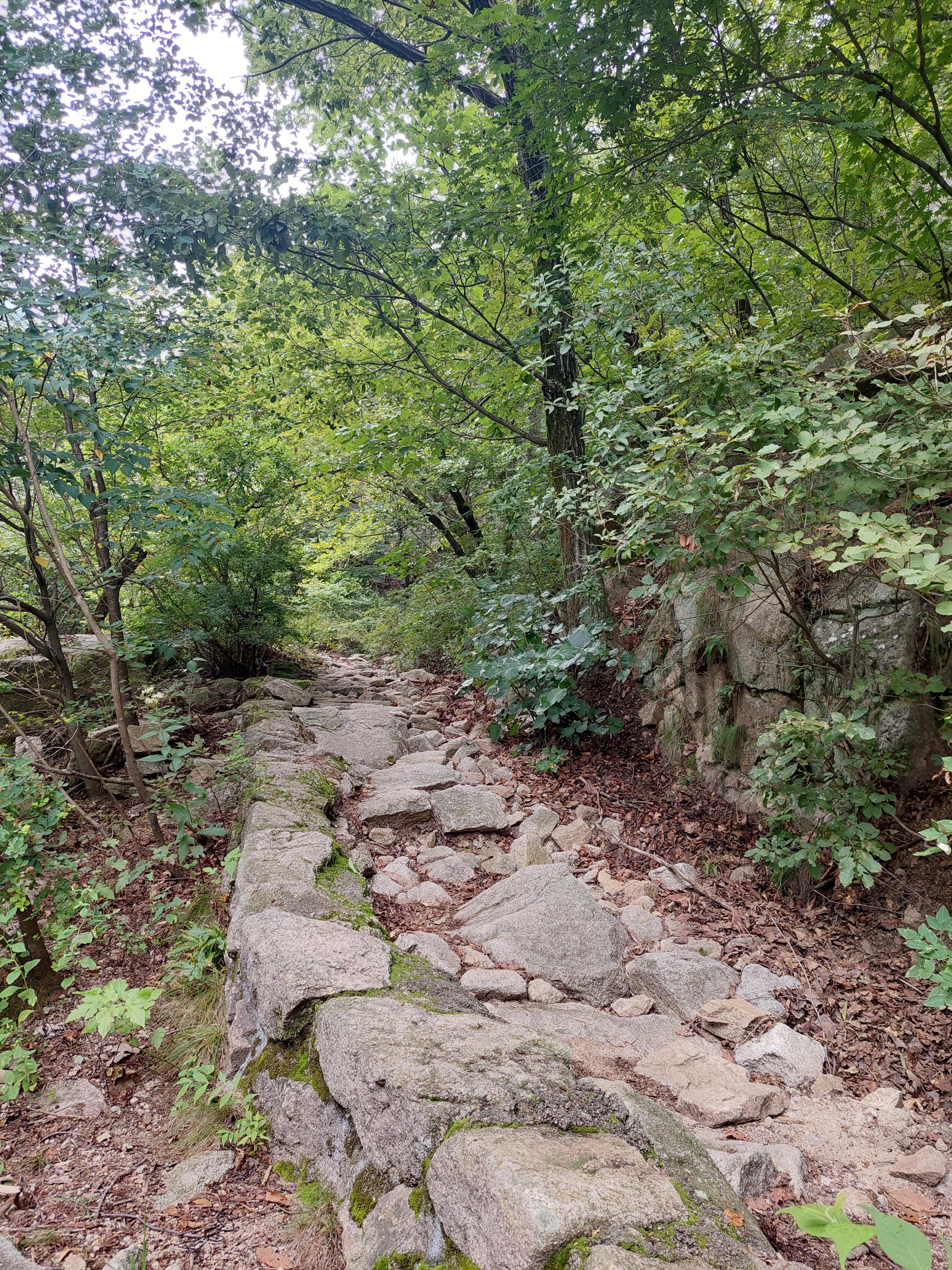 사패산
