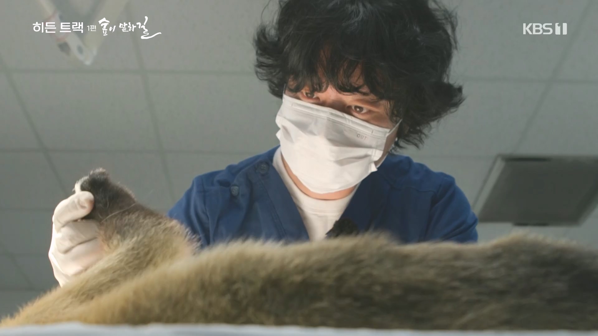 다큐 인사이트.E176.231214p.H264-F1RST.mp4_20231215_205451.219.jpg
