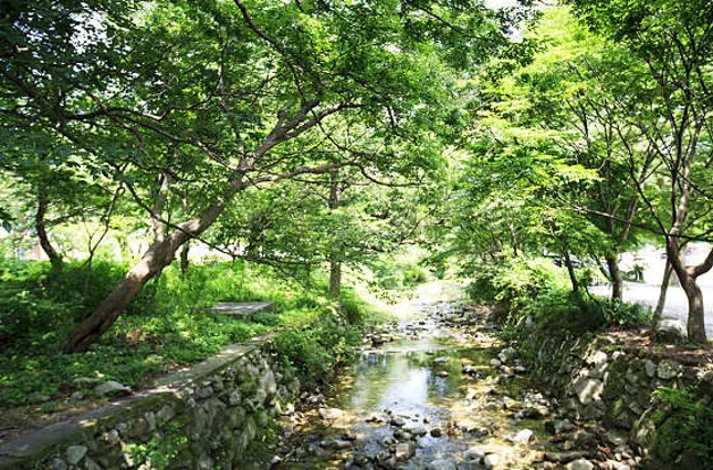 갑사계곡