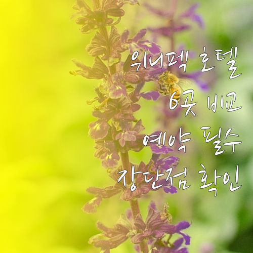 캐나다 위니펙 호텔 예약 전 필독 6