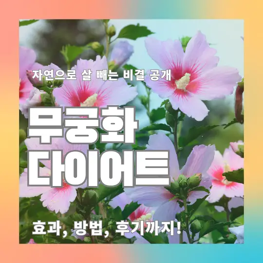 무궁화 다이어트