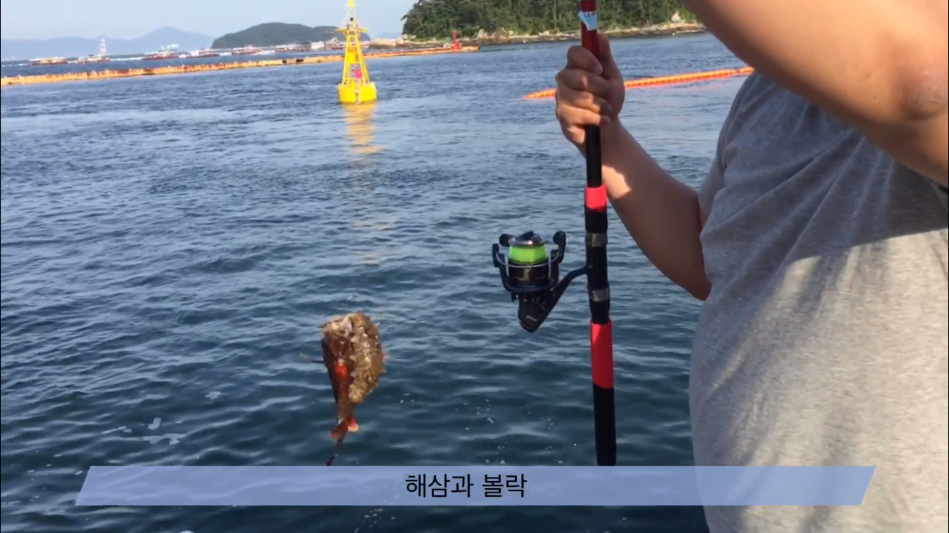  바늘 하나로 두마리 잡기의 달인