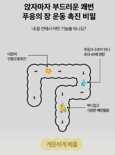 푸응 효능