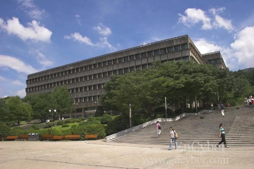 서울대학교