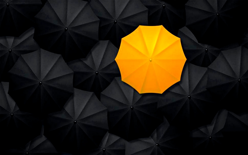 노란우산