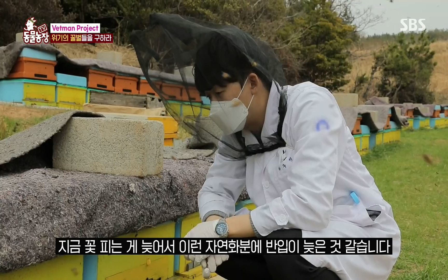 TV 동물농장.E1072.220605p.H264-F1RST.mp4_20220605_181448.075.jpg