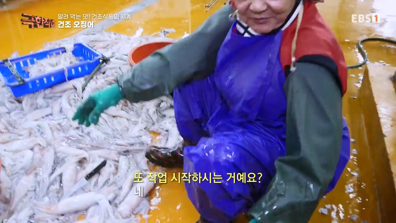 TV - 전 국민의 평생학교 EBS말려 먹는 맛! 건조식품의 세계.mp4_20231125_190722.441.jpg