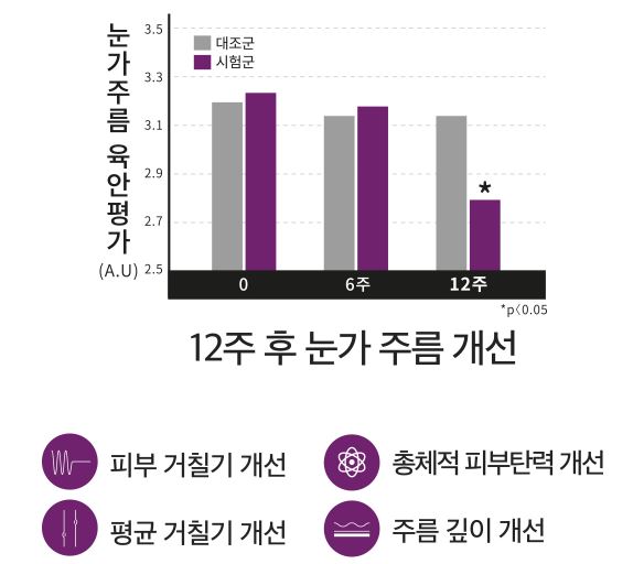 에버콜라겐_사용후기