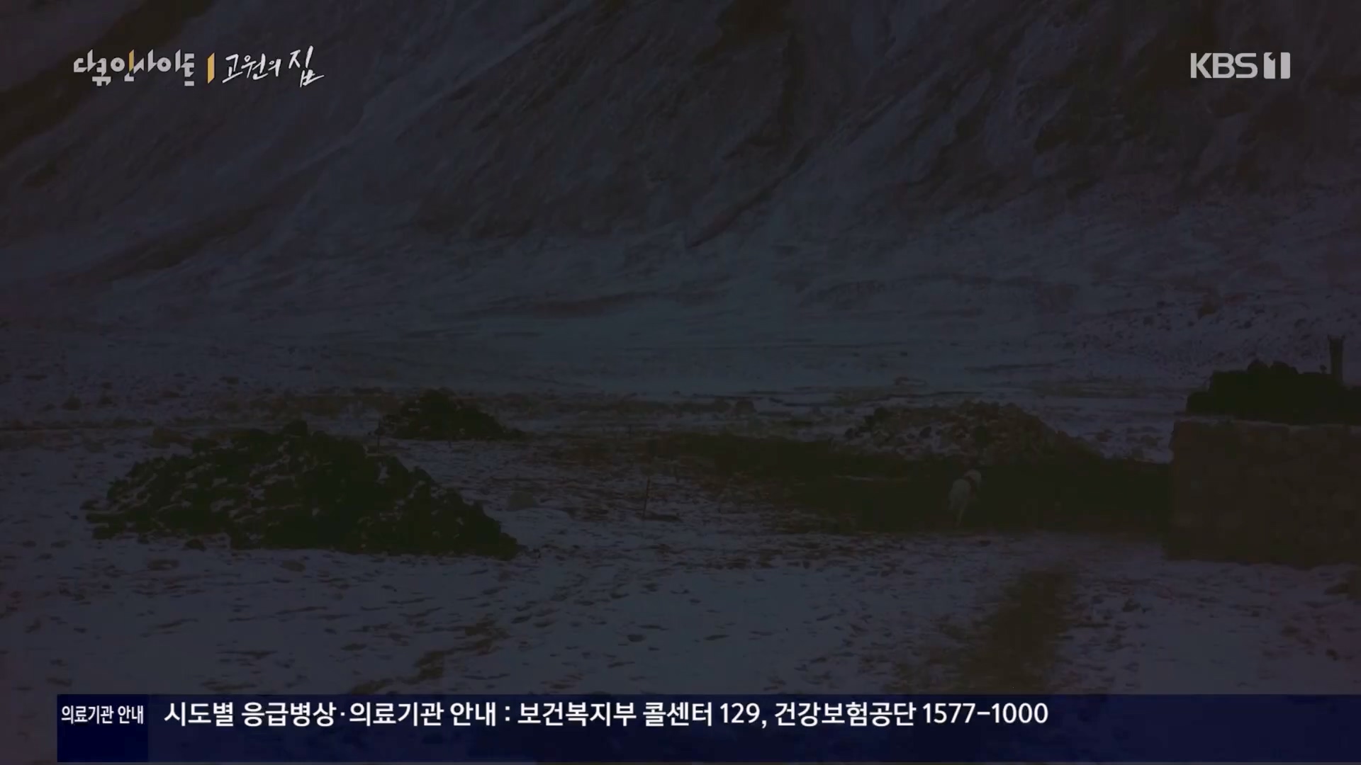 다큐 인사이트.E176.240328p.H264-F1RST.mp4_20240330_162906.298.jpg