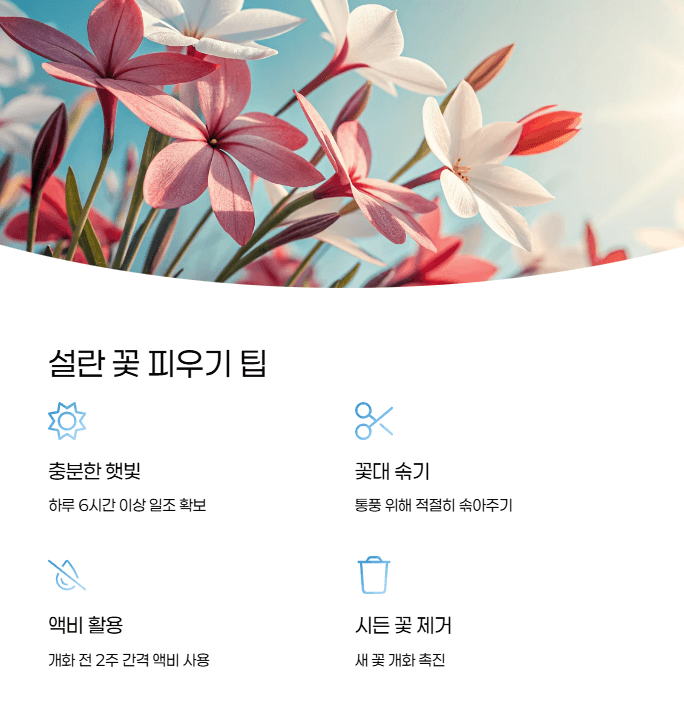 설란
