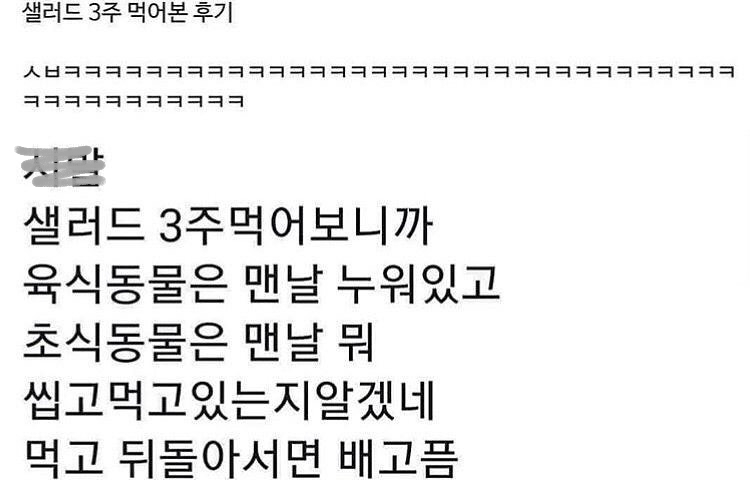  3주 샐러드 식단 후기.jpg