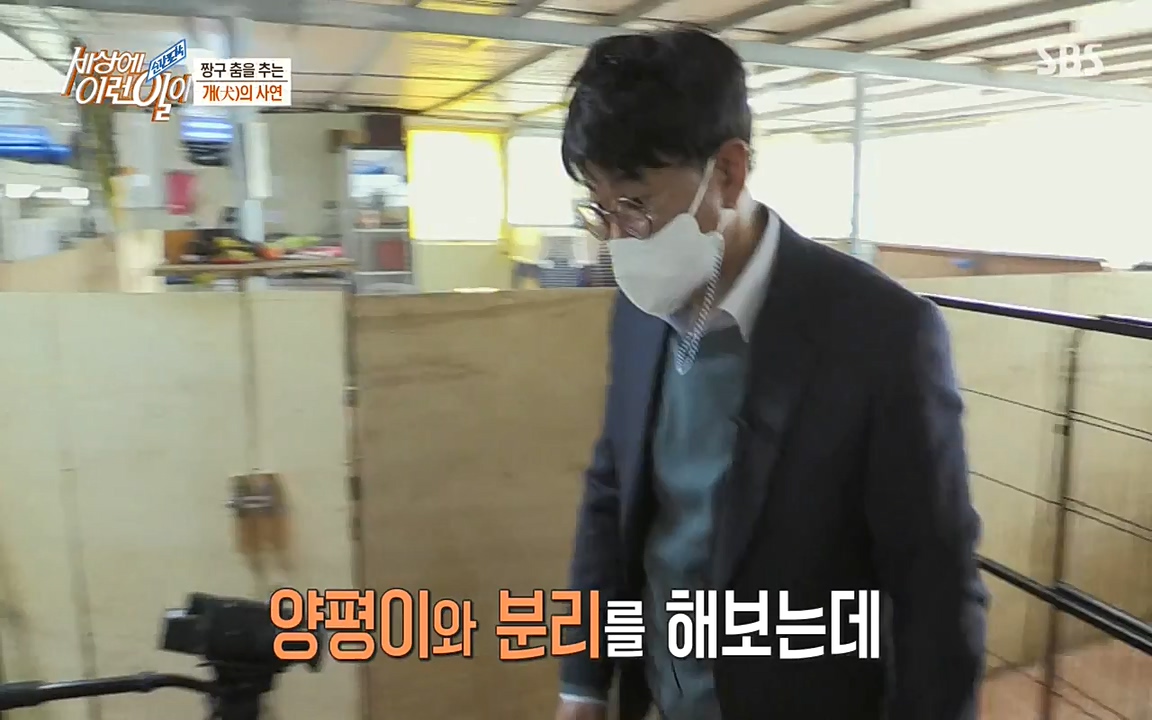 순간포착 세상에 이런일이.E1179.220511p-NEXT.mp4_20220511_175843.745.jpg