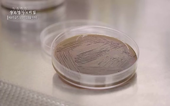 [792회] 생로병사의 비밀 - KBS[세균의 습격, 당신의 잇몸을 지켜라!] 감기보다 병원을 더 자주 찾게 만드는 질병이 있다. 바로 치주질환이다. 2020년 외래 다빈도 질병 1위를 차지한 치은염 및 치주질환 환자는 1,637_20220505_141604.404.jpg