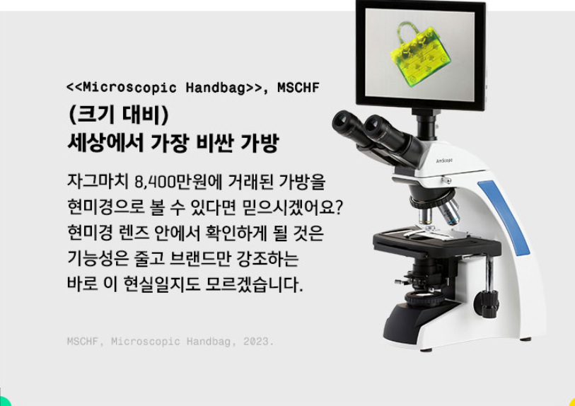 MSCF 작품