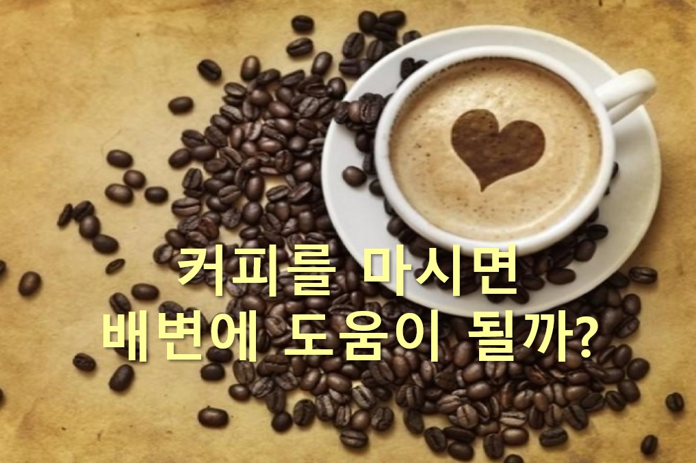  커피가 배변에 도움이 되는 이유