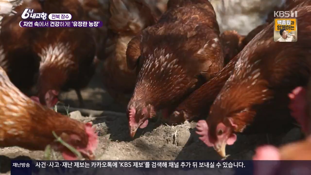 6시 내고향.E8057.240525p-NEXT.mp4_20240525_162204.532.jpg