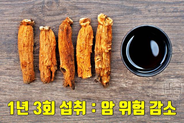 홍삼 효능 항암 홍삼 먹으면 안되는 사람 홍삼부작용