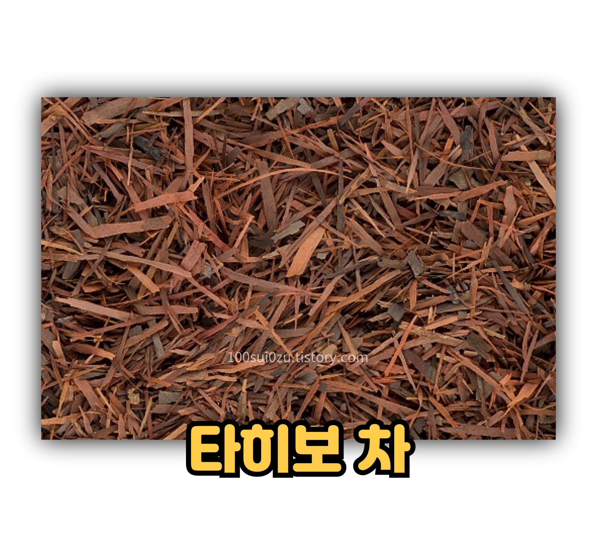 타히보-차.JPG