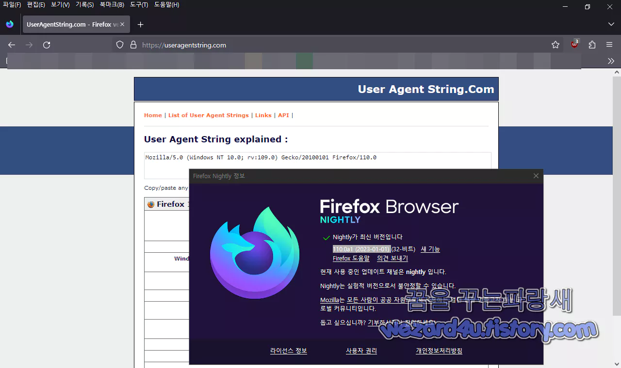 파이어폭스 110.0a1 (2023-01-01) 접속시 User Agent String