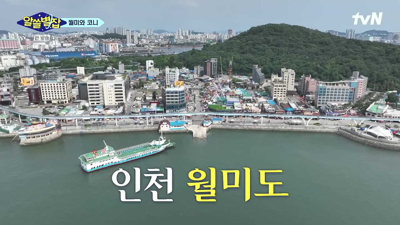 알쓸별잡.E05.230832p-NEXT.mp4_20230902_171959.880.jpg