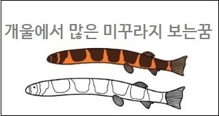 개울에서 많은 미꾸라지 보는꿈