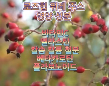 로즈힙-퓨레-쥬스-효능-엘라스틴-성분