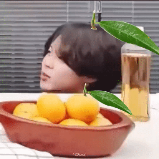 더쿠 - 귤 머글래 (๑ᵔ⤙ᵔ๑)