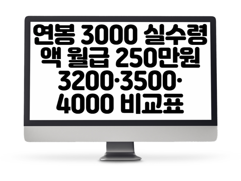 연봉 3000 실수령액 기준, 월급 250만원 연봉 3200·3500·4000 비교표