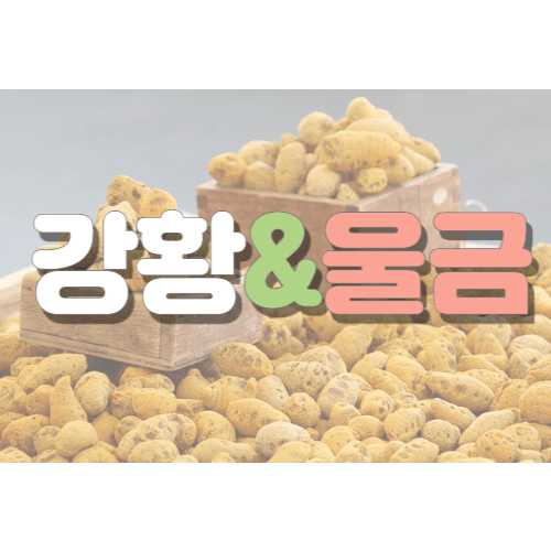  강황과 울금, 면역력에 좋은 강황가루 효능과 먹는 방법