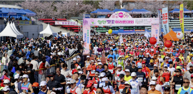 합천_벚꽃마라톤_대회_사진출처_합천_벚꽃마라톤_홈페이지_캡쳐