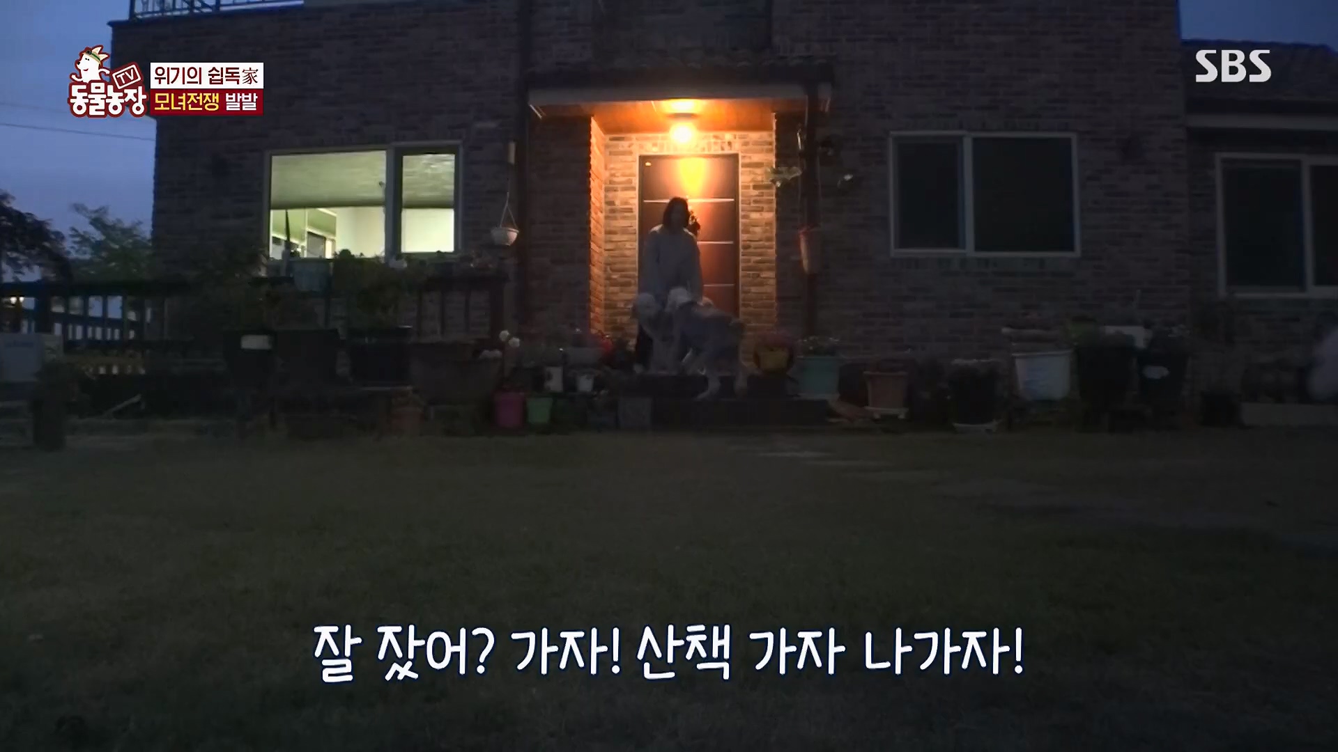 TV 동물농장.E1120.230514p.H264-F1RST.mp4_20230515_203527.808.jpg