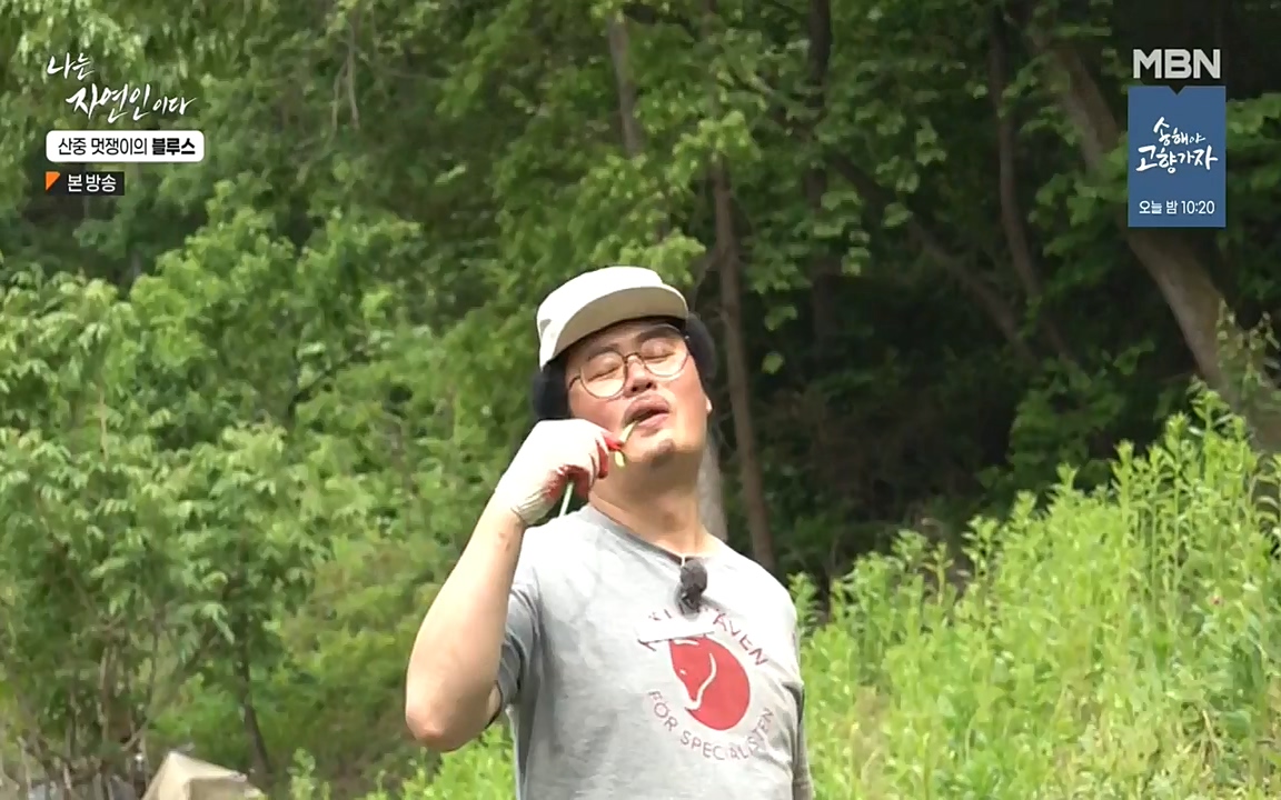 나는 자연인이다.E505.220609p-NEXT.mp4_20220609_200149.587.jpg