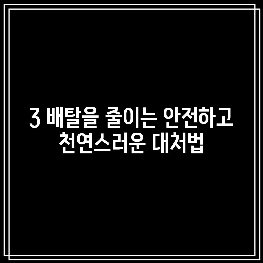 3. 배탈을 줄이는 안전하고 천연스러운 대처법