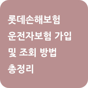 롯데손해보험 운전자보험 가입 및 조회 방법 총정리