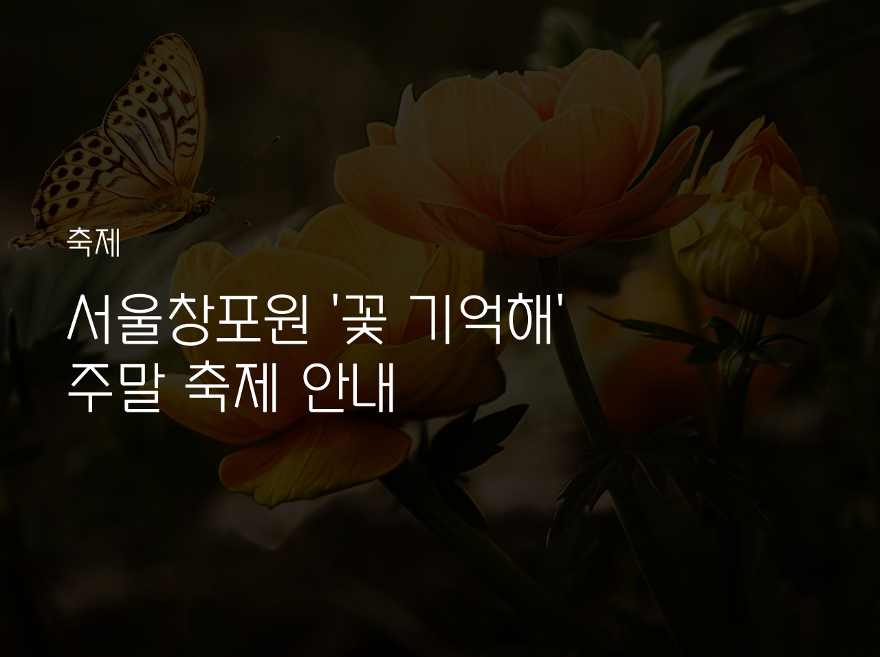  서울창포원 '꽃 기억해' 주말 축제 안내