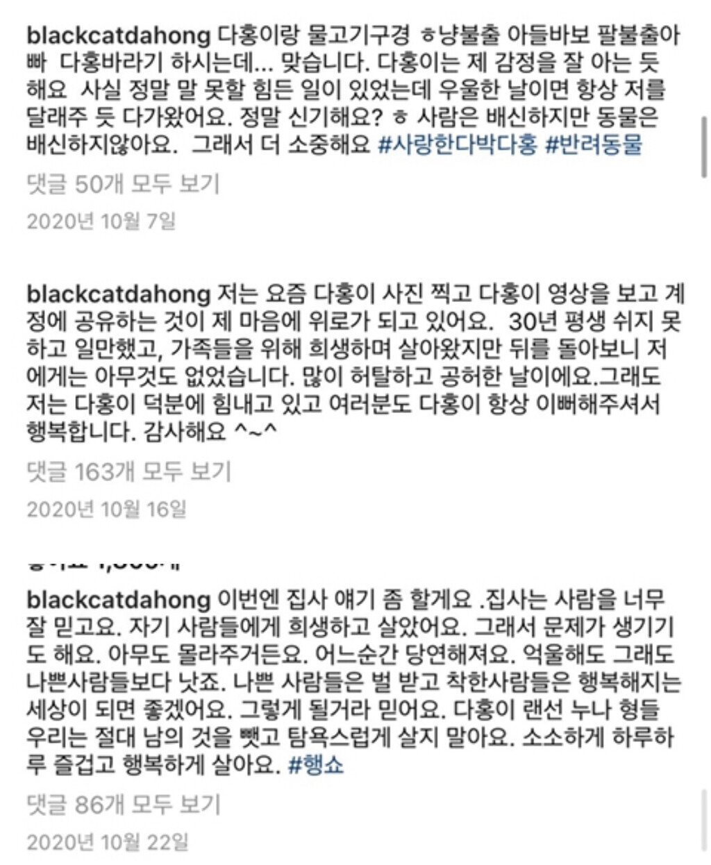  동치미에서 박수홍 오열한 영상 feat.다홍이