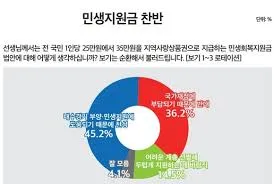 민생지원금 25만원