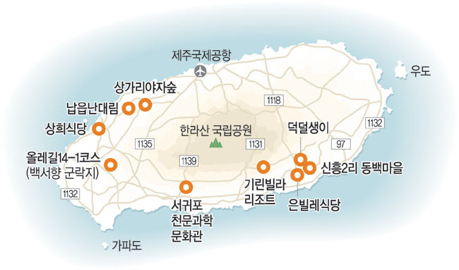 옵서예 이미지