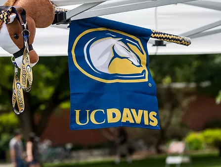  [UC Transfer] UC Davis / UC 데이비스 편입 분석