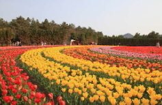 화담숲 예약방법