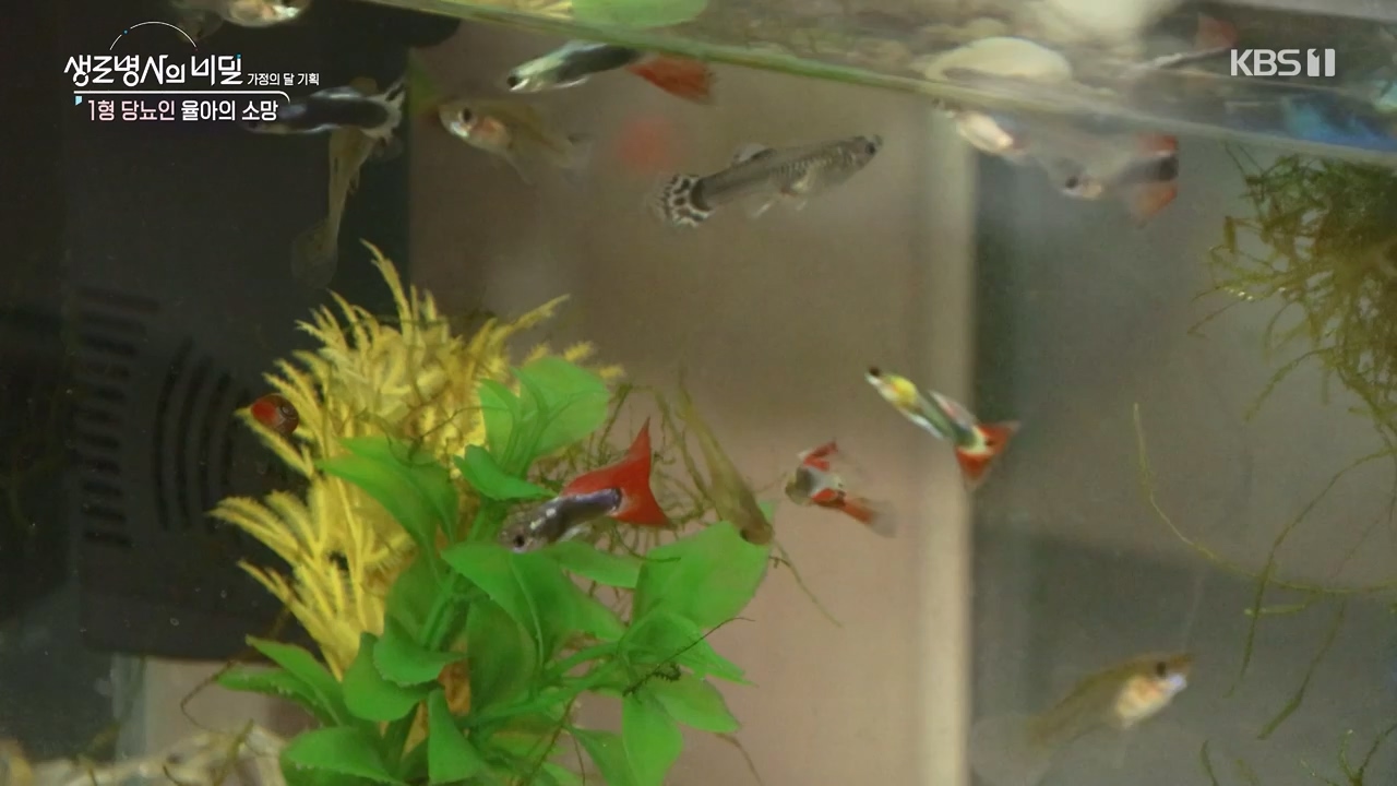 생로병사의 비밀.E911.240516p-NEXT.mp4_20240516_201440.161.jpg