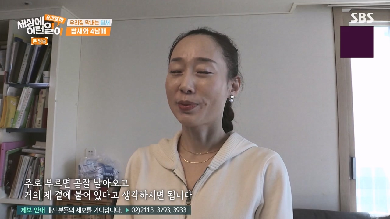 순간포착 세상에 이런일이.E1272.240407p-NEXT.mp4_20240407_175002.342.jpg