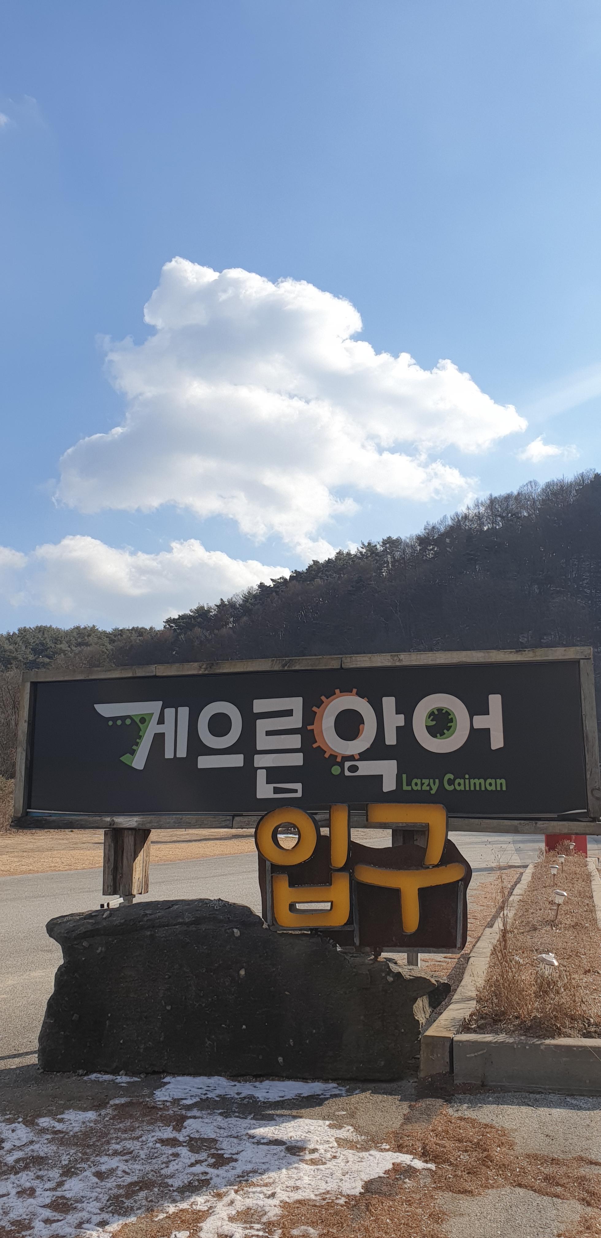  악어봉 앞에 펄처진 충주호 악어때를 만나고 왔습니다.