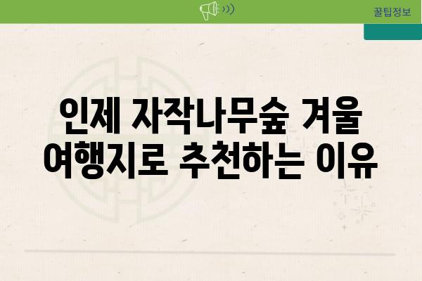 인제 자작나무숲 겨울 여행지로 추천하는 이유