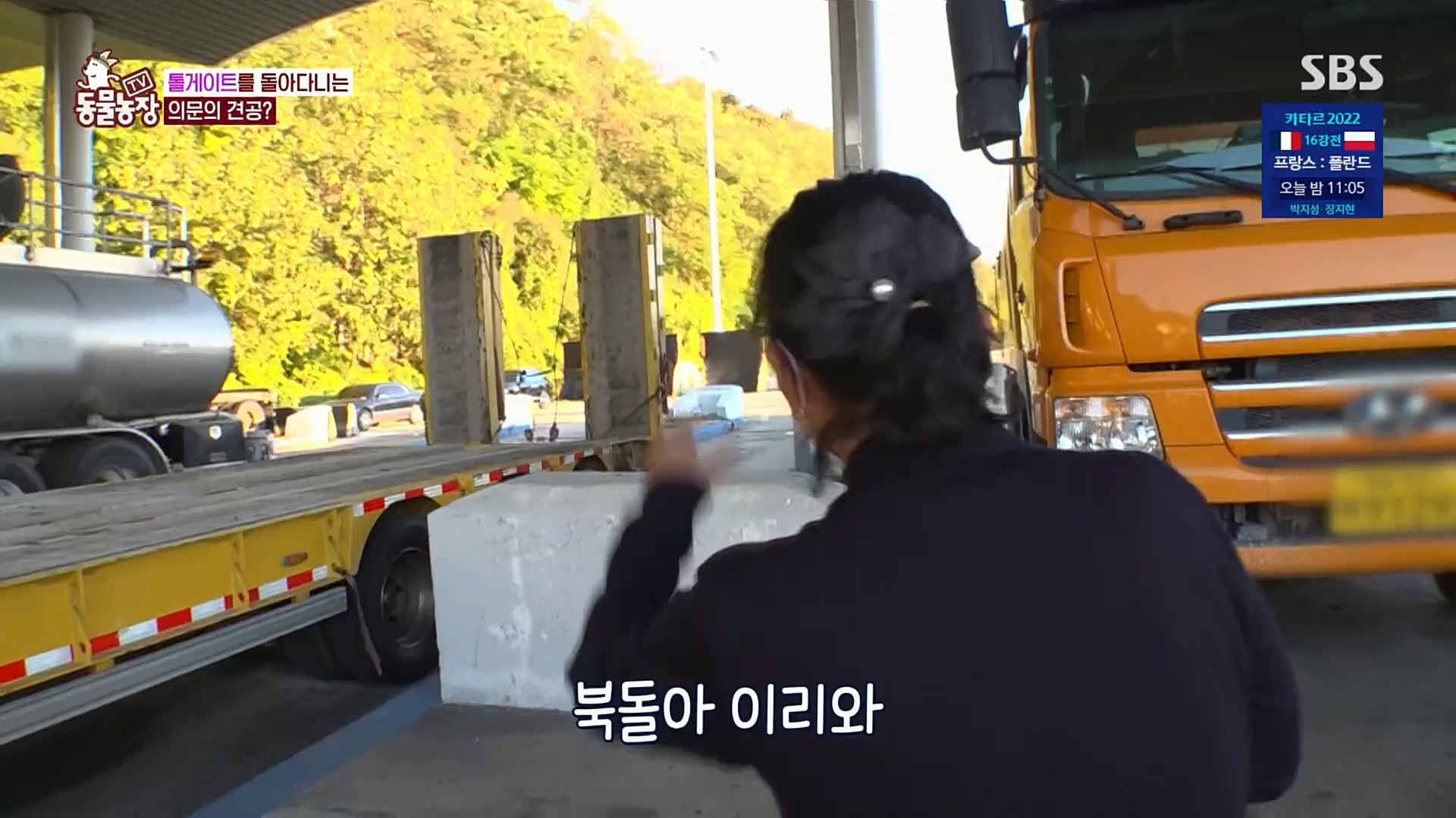 TV 동물농장.E1098.221204p.H264-F1RST.mp4_20221204_175416.075.jpg