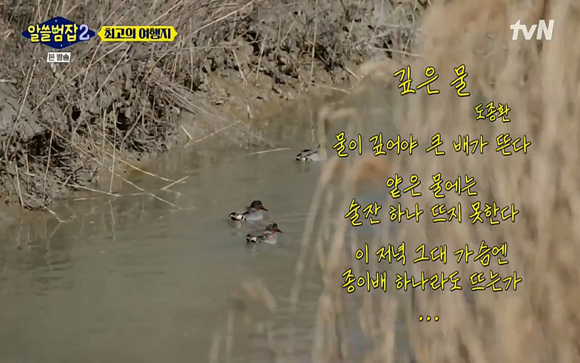 알쓸범잡 2.E16.220502p-NEXT.mp4_20220502_184219.365.jpg
