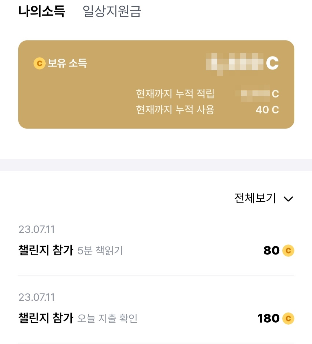  발로소득 일상지원금으로 한 달에 이 정도 번다.